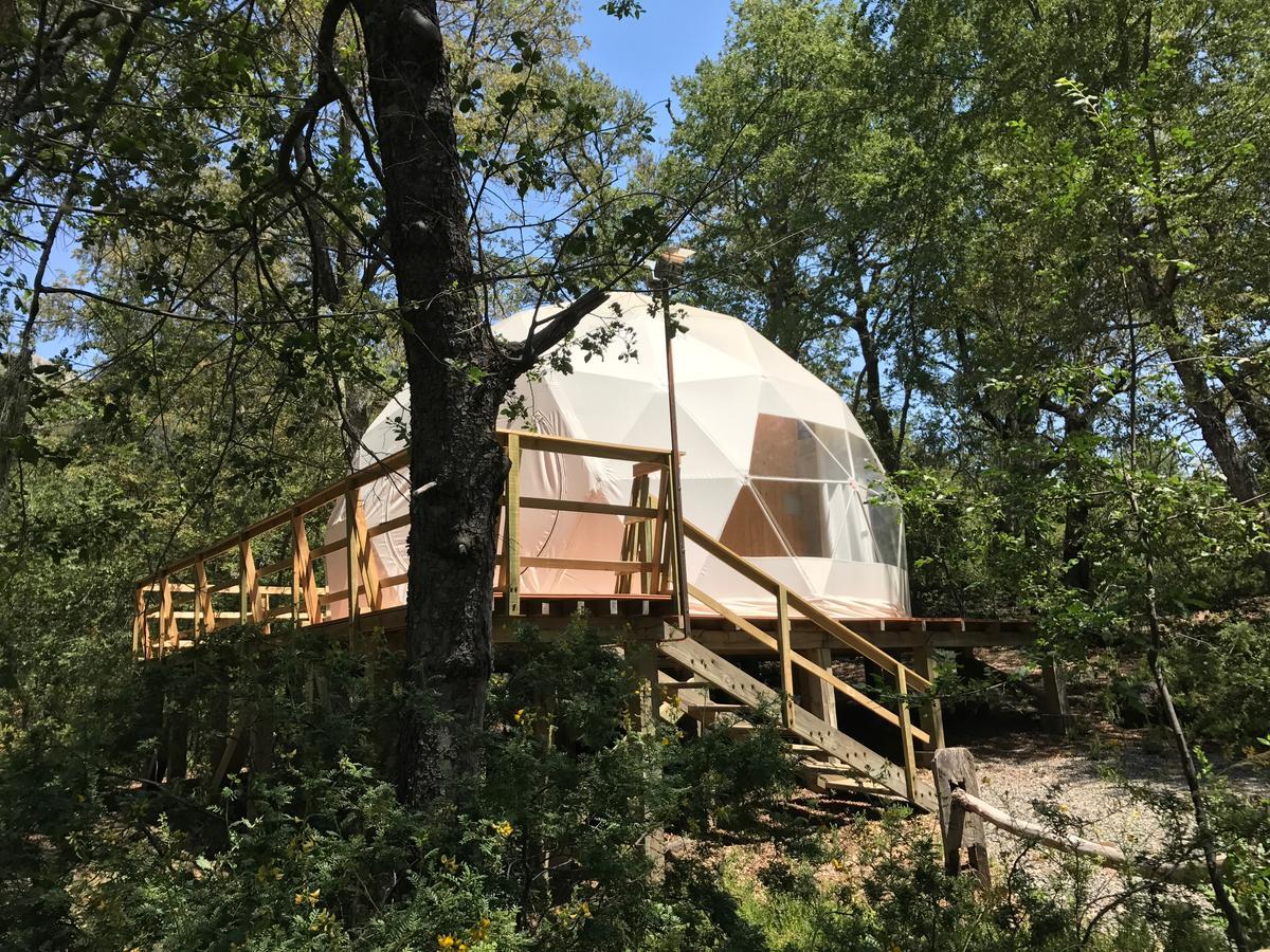 Glamping Domos Treepod Hotel Las Trancas Exterior foto